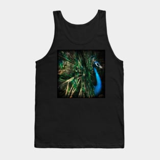 Splendour Tank Top